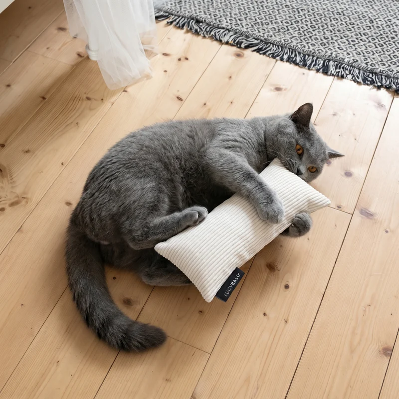 KICK BUNNY Katzenkissen mit Catnip