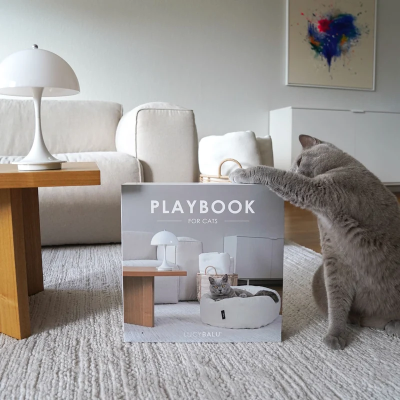 PLAYBOOK Interaktives Spielzeug
