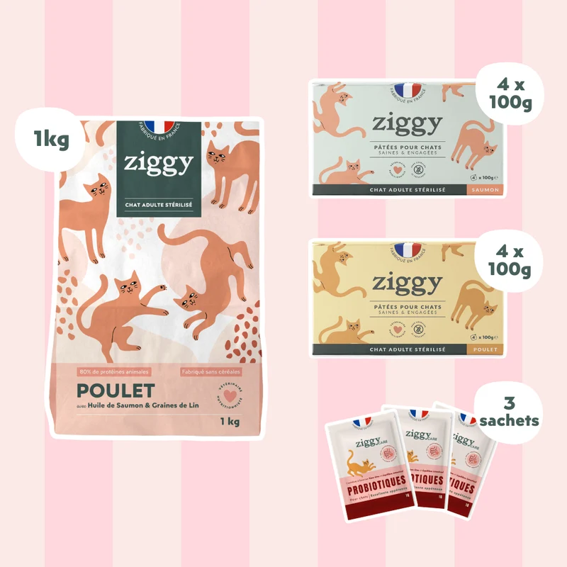 Coffret Découverte Chat Adulte - 1kg Croquettes + 8 Pâtées + 3 Probiotiques