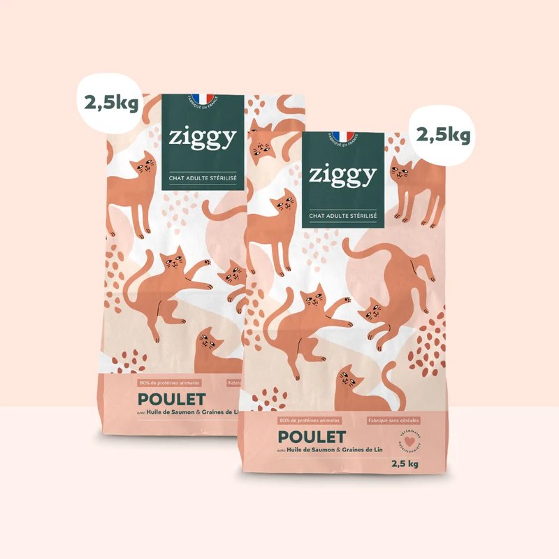 Coffret Croquettes Party - Croquettes Poulet et/ou Saumon (2 x 2,5 kg)