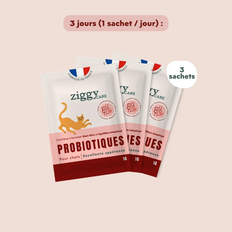 Probiotiques Chat - Flore Digestive