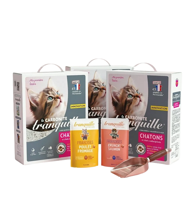 Pack Découverte Chatons