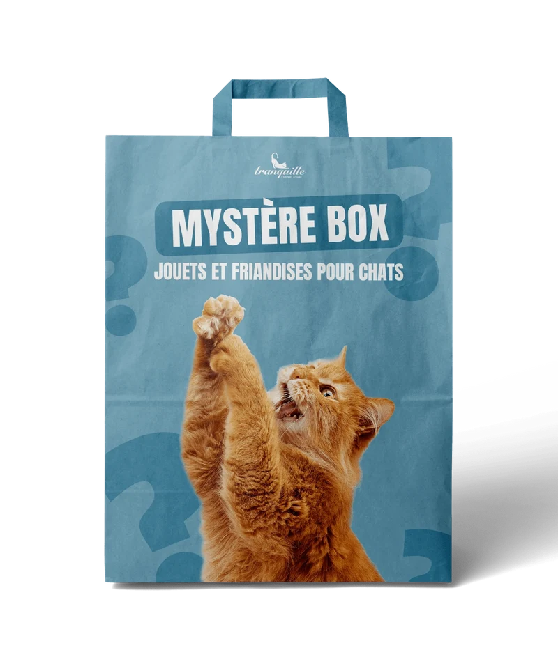 Mystère Box pour Chats