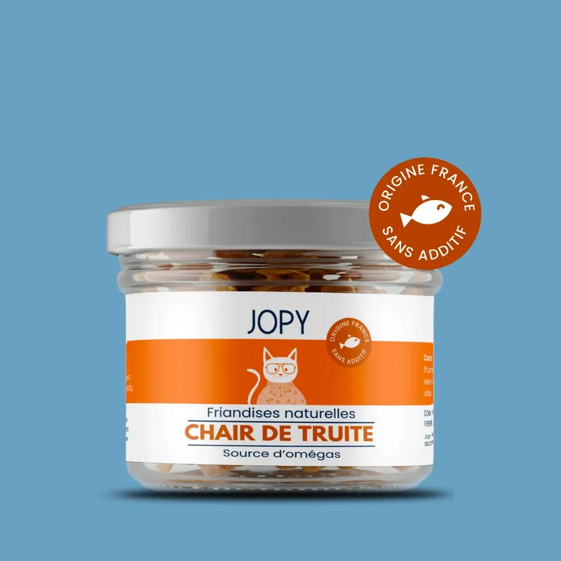 Chair de truite pour chat