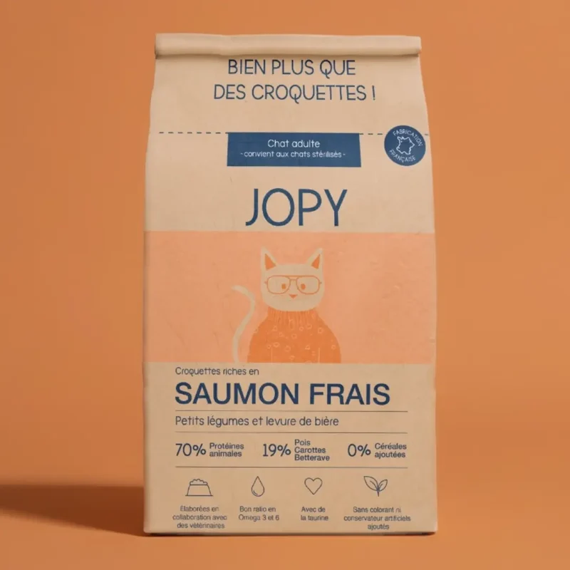 Croquettes Chat au Saumon
