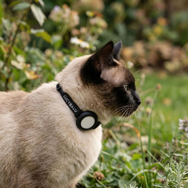DORI AirTag Katzenhalsband (Nylon)