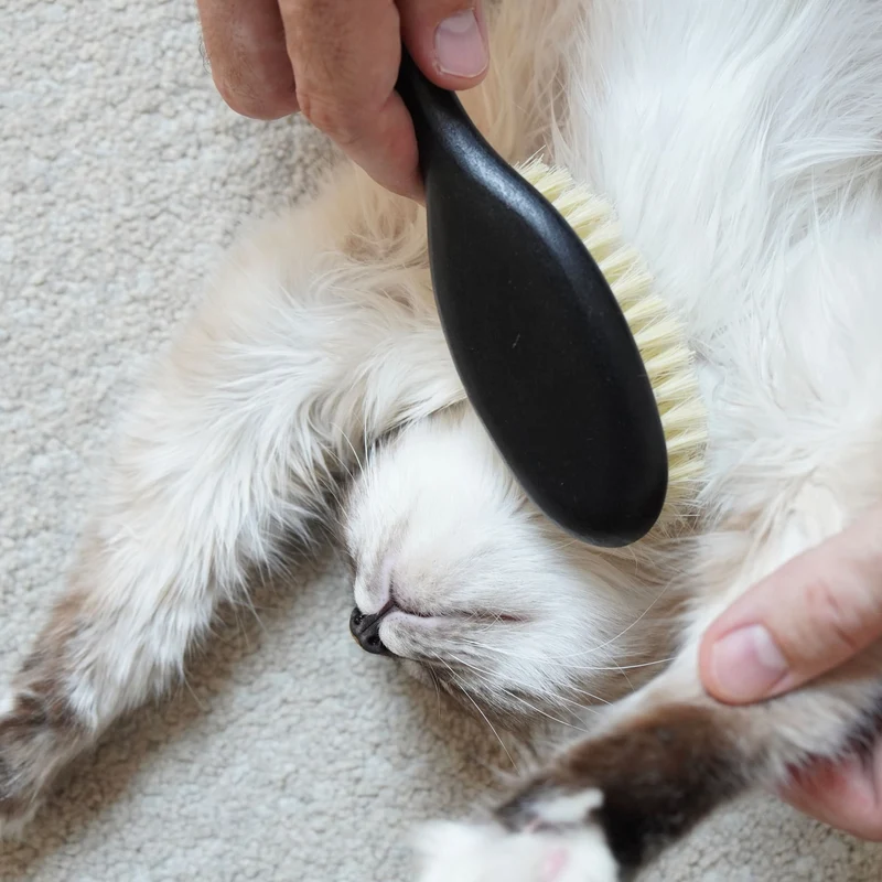 FIGARO Katzenbürste