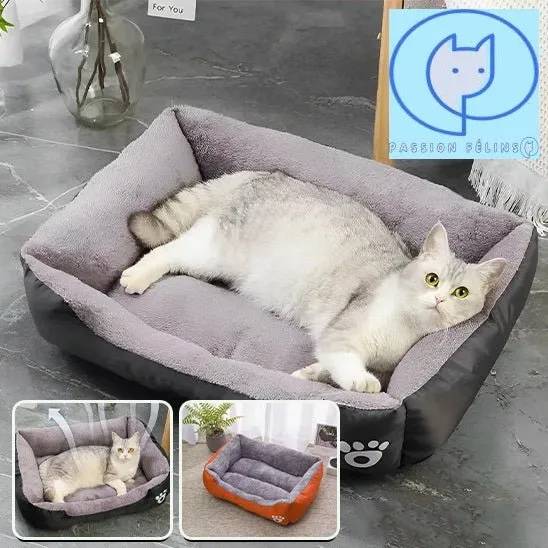 Coussin pour chat | Tout Moelleux
