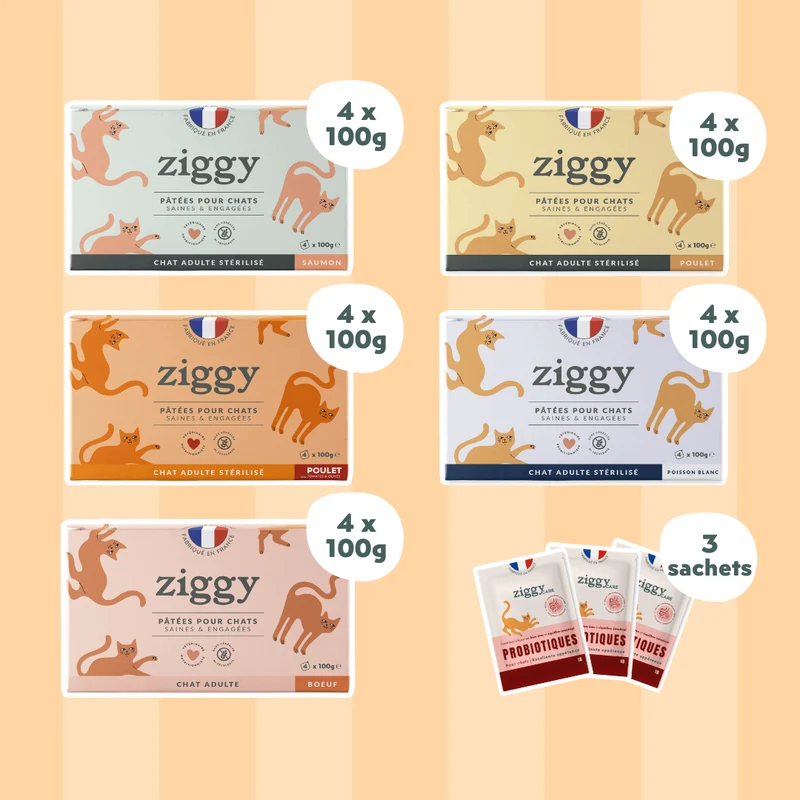 Coffret Découverte Pâtées - Poulet + Saumon + Boeuf + Poisson Blanc + 3 probiotiques