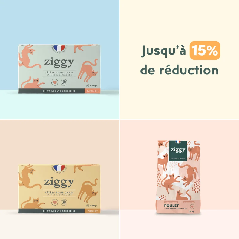 Personnalisez votre Coffret Découverte - Saveur au choix