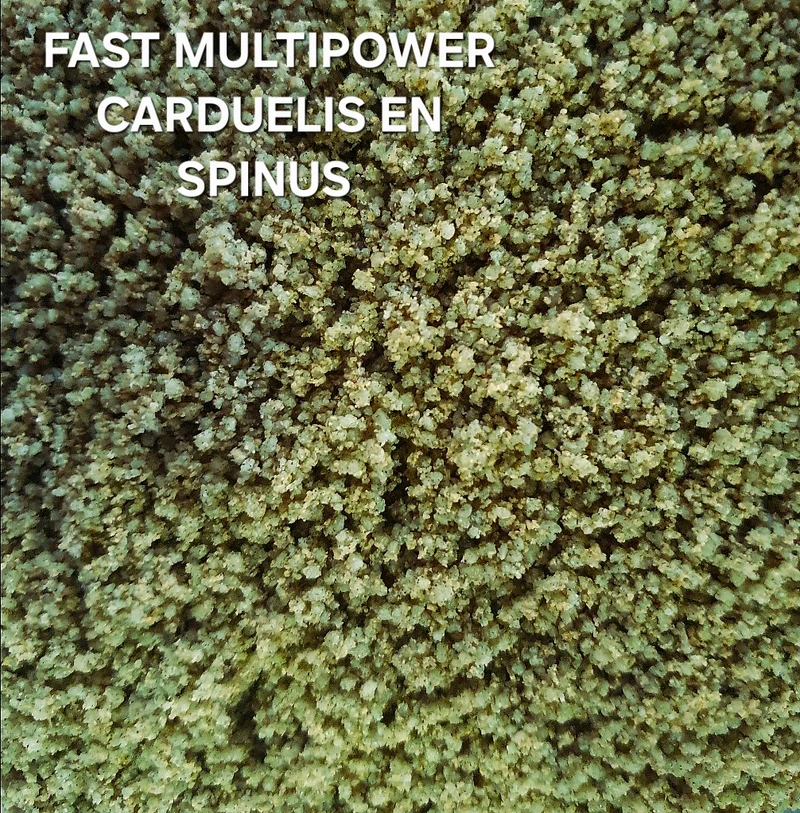 Multi-aliments rapide Carduelis et Spinus 1 kg (emballé) - Green Eggfood