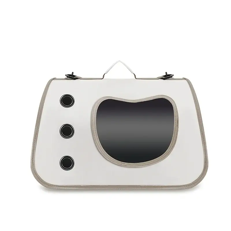 Chat Sac de Transport