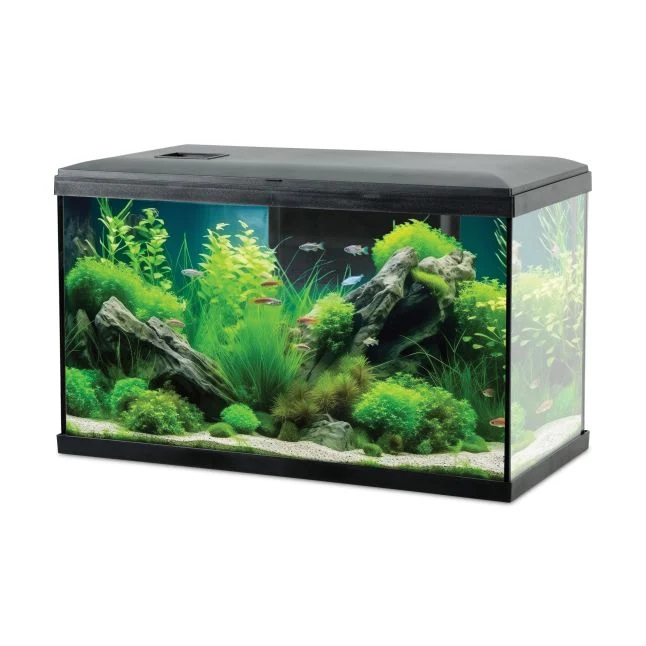 Zolux Aquarium Tana 63L