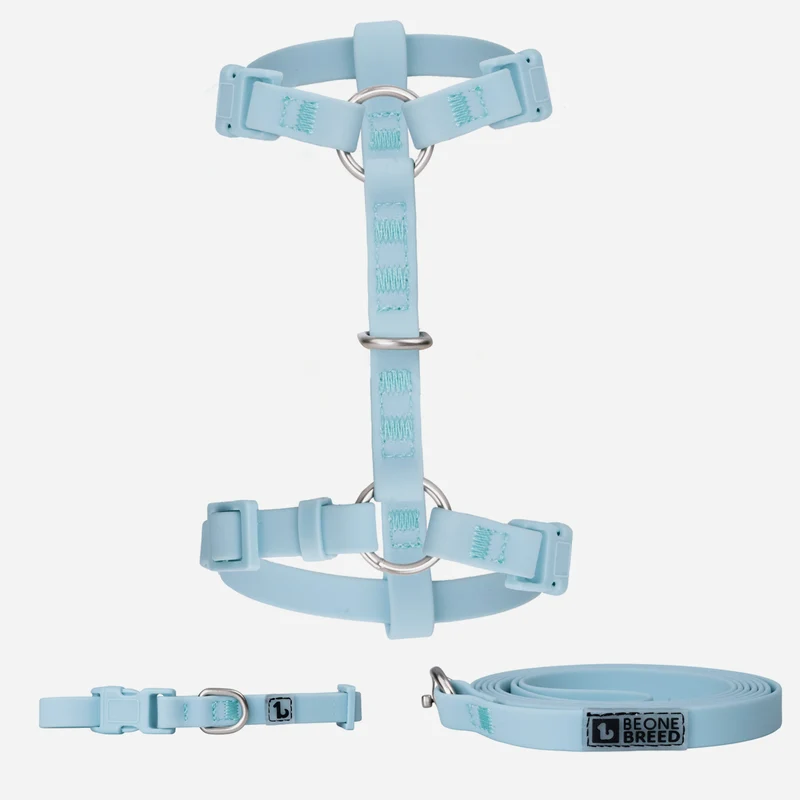 Lightweight silicone small dog walking kit