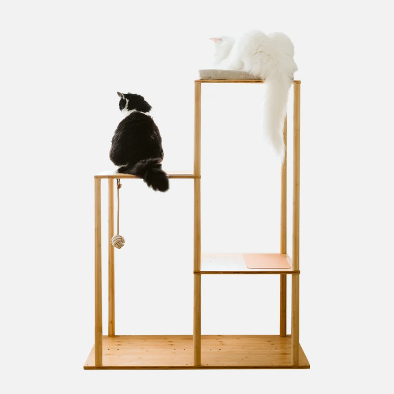 ModuKatt tree