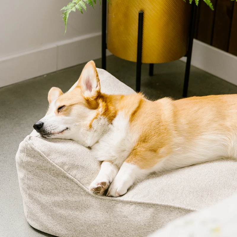 Therapet bed spare cover