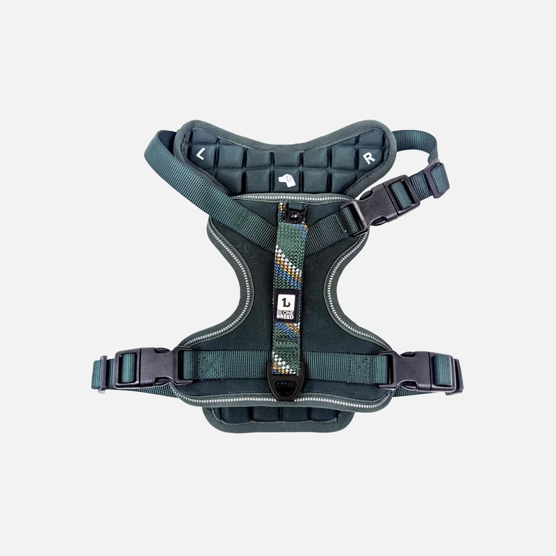 Paracord dog harness