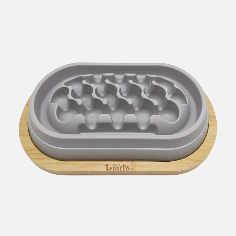 Modern slow feeder for pet