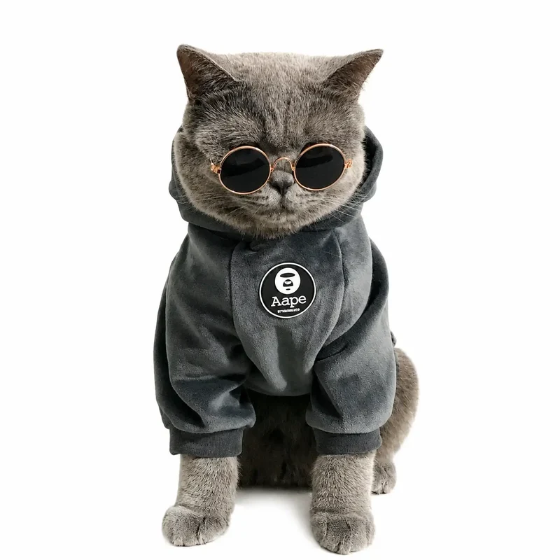 Pull pour Chat Style Pyjama avec un Pompon sur la Capuche