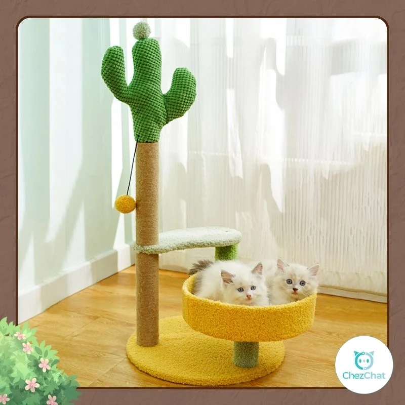 Griffoir Tour de Cactus