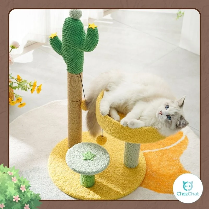 Griffoir Oasis Cactus