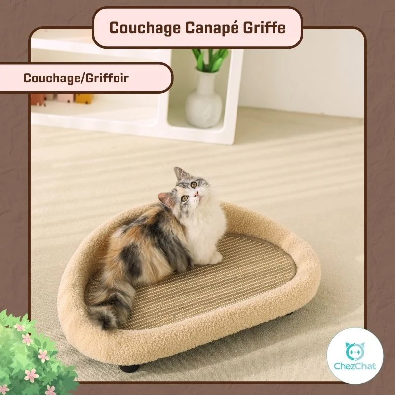 Couchage Canapé Griffe