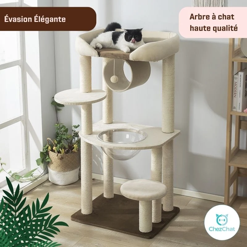Arbre à Chat - Évasion Élégante
