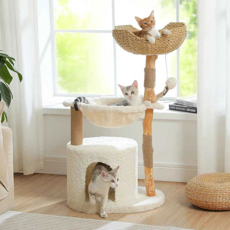 arbre a chat maine coon | Bois Massif Robuste