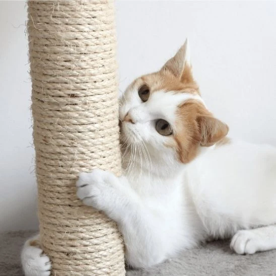 Griffoir pour chat | Sisal Naturel