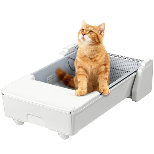 Meowant Open Top Self-Cleaning Cat Litter Box – SC03