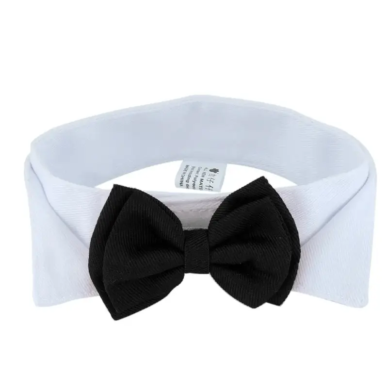 Noeud Papillon Pour Chat