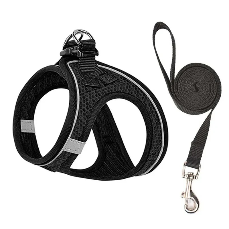Harnais + Laisse Mesh Respirant – Confort & Visibilité Nocturne pour Chat & Petit Chien