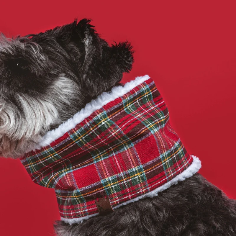Tour de cou d’hiverécossais pour chien – B de Bruno