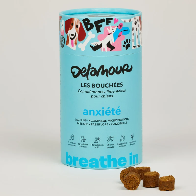 Bouchées Delamour Anxiété