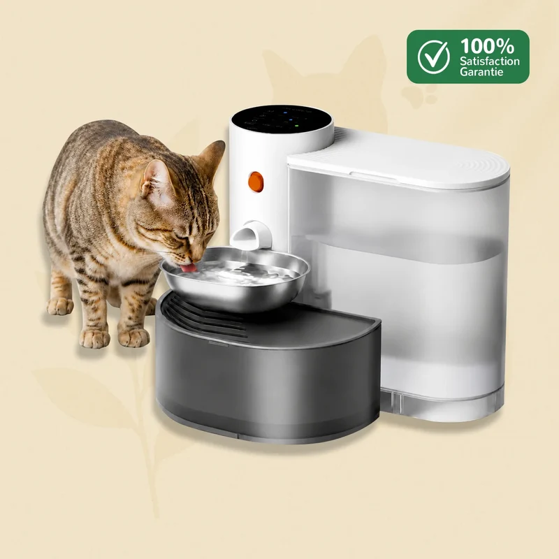 AquaFlow - fontaine chat sans filtre à renouvellement automatique