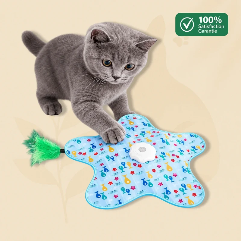TapiCache - Jouet Cache-Cache Interactif pour Chat