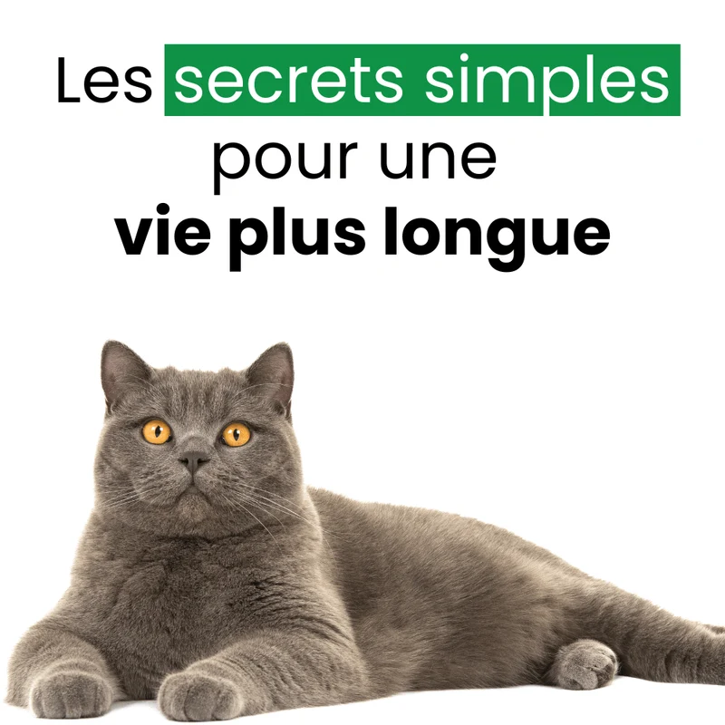 E-book - Les secrets simples pour une vie plus longue
