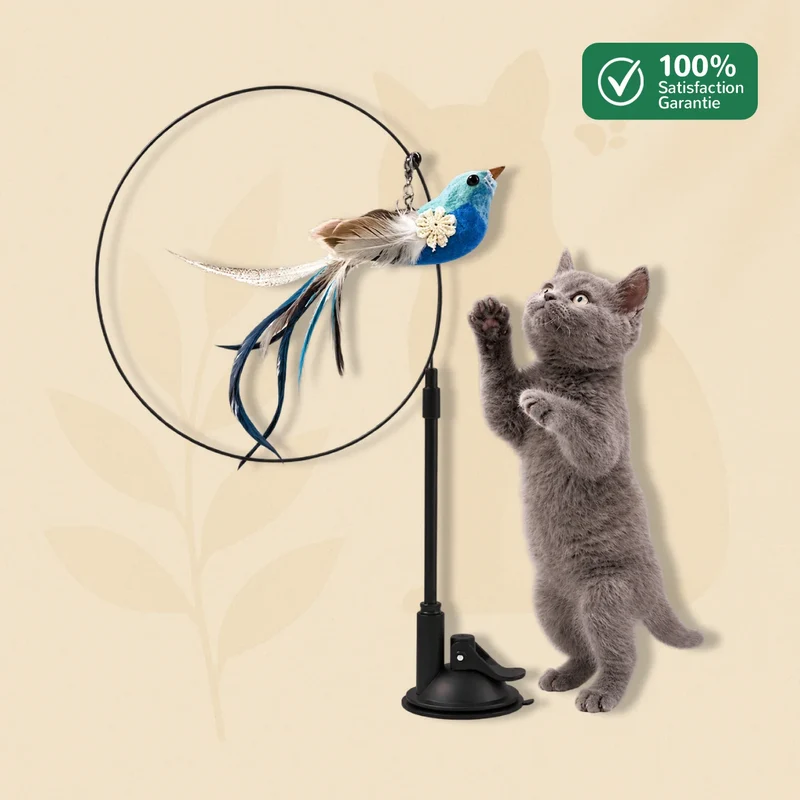 BirdyFun - Jouet Chat Oiseau sur Tige Flexible avec Ventouse