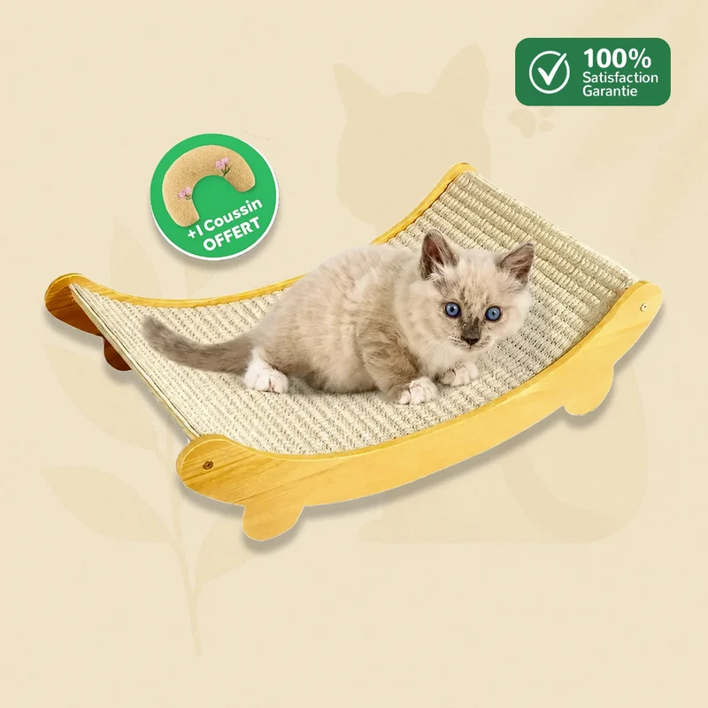 GriffoNest - Griffoir Sisal Chat et Lit Surélevé 2-en-1