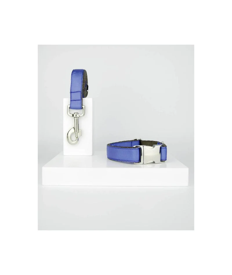 Collier pour chien Solid Serenity