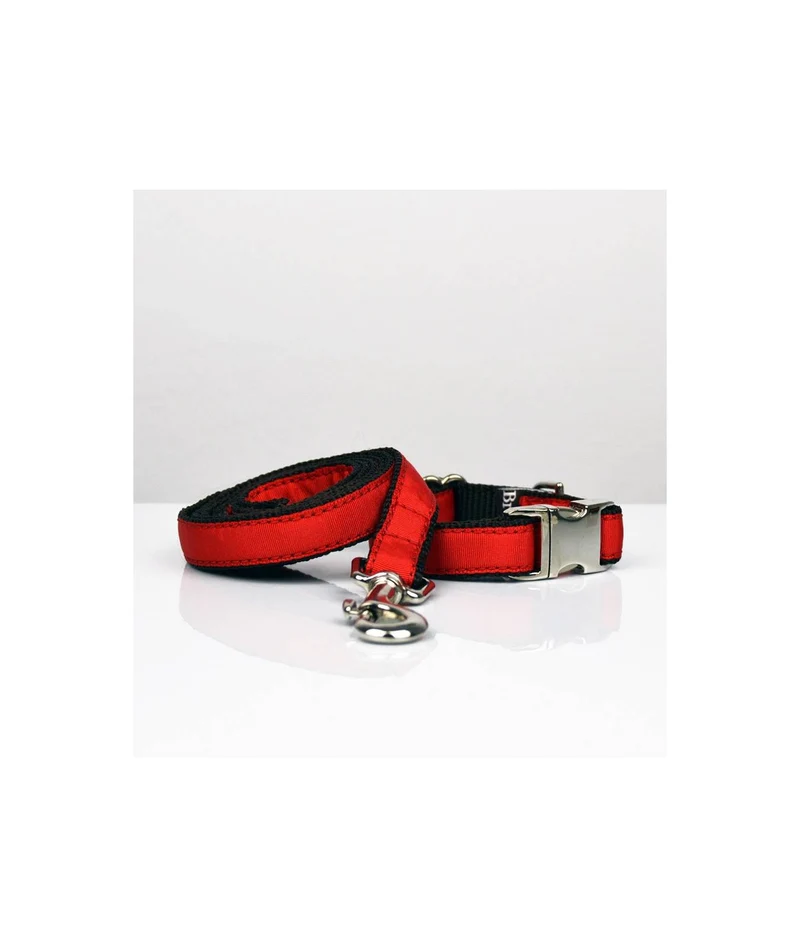 Collier pour chien Solid red