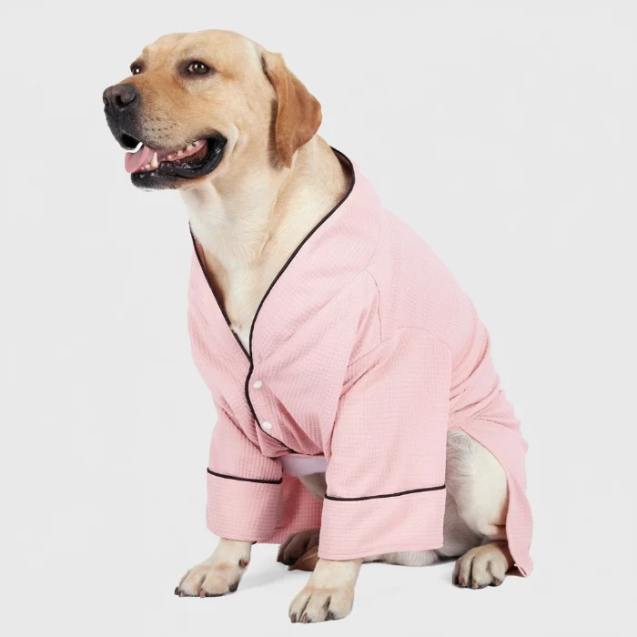 Peignoir Confortable Et Résistant Pour Chien