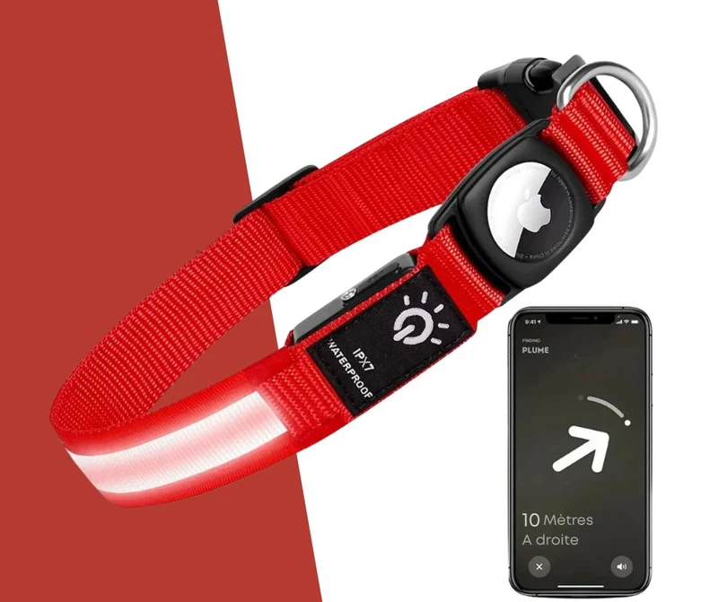 Collier Led Avec Emplacement Airtag Pour Chien