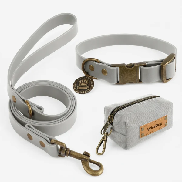 Ensemble Collier, Laisse Et Distributeur De Sac Pour Chien