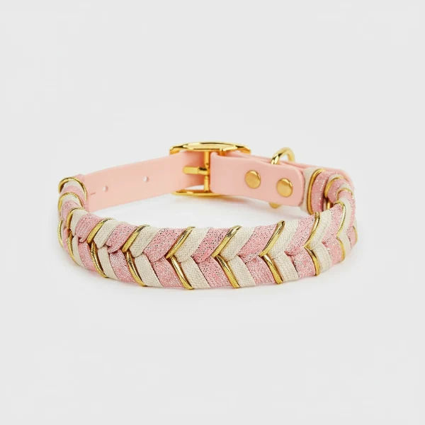 Collier Elégant En Fil Tressé Pour Chien