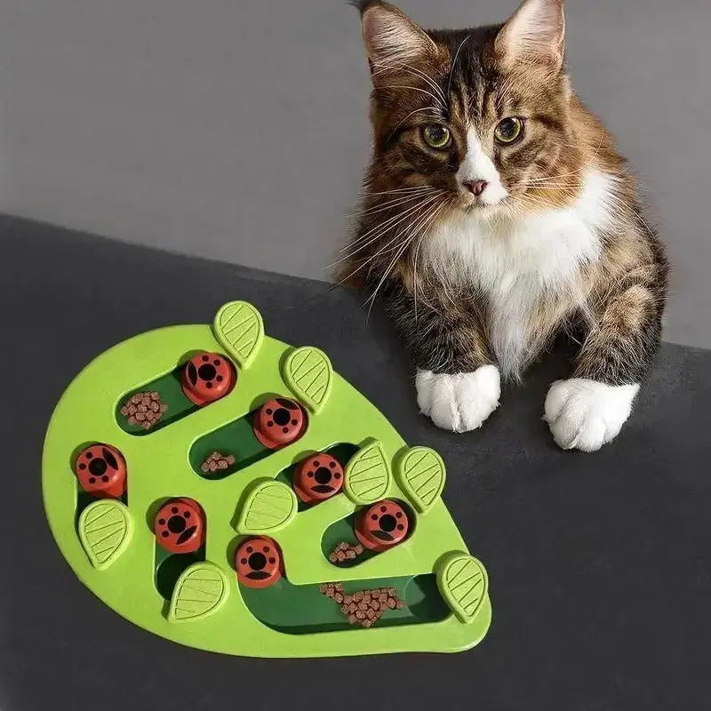 Jouet Croquette Chat