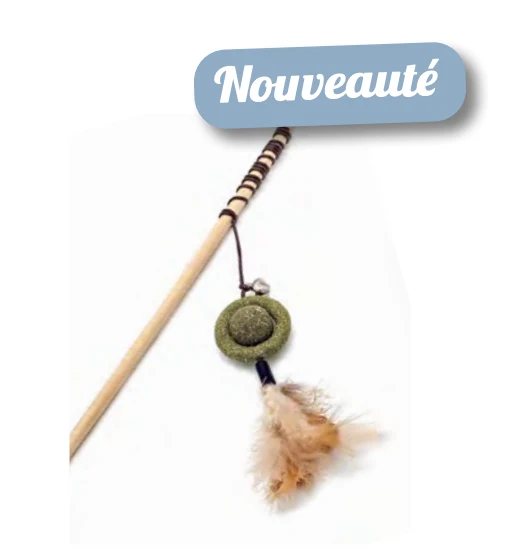 Zamibo Canne à Pêche Grelot, Plumes & Herbe à Chat