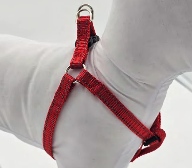 Zamibo Harnais Polyester Réfléchissant Rouge