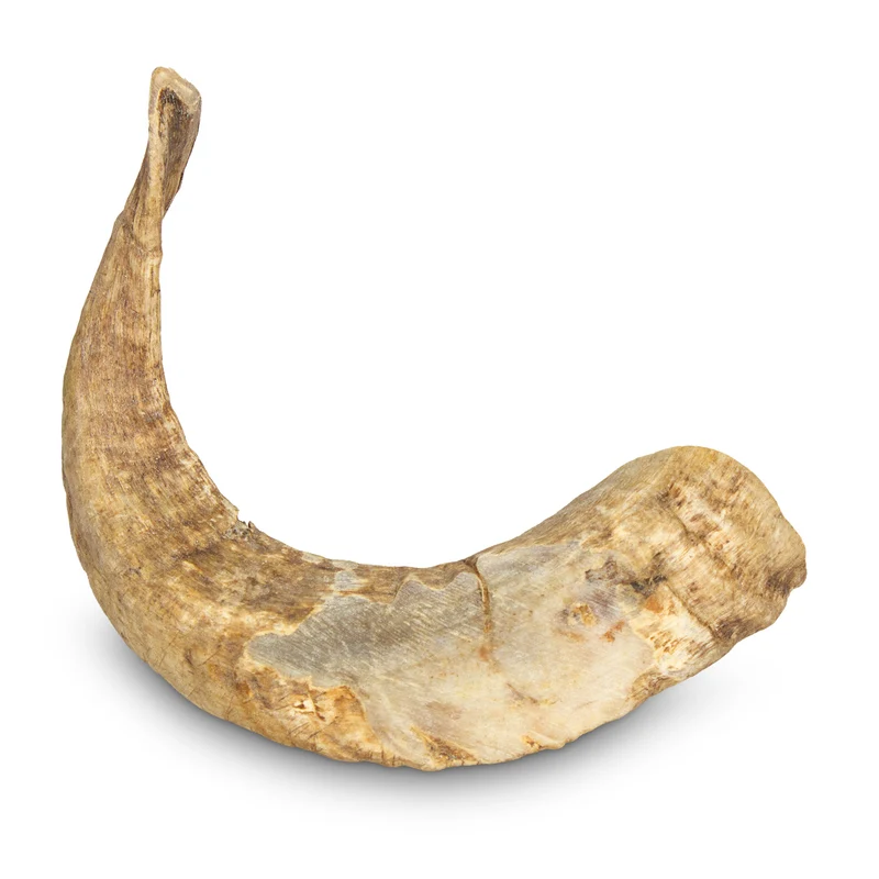 Cuerno de Carnero