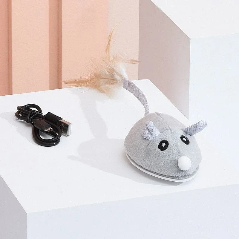 Souris interactive USB pour chat MAOWSKAT™